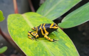 今週末はハチクラサービスデー！！