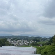 【世界遺産】「飛鳥•藤原の宮都」古墳巡り②高松塚古墳