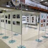 �ظ������۹⹻´�ȵ�ǰ�̿�Ÿ�����Ļ����2�����ӡ��ǻϤޤ�ޤ�����3��25�����ڡˤޤǳ��ŤǤ����٤β���