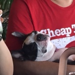 沖縄からaceとmona