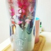 春のアイスコーヒーと桜のタンブラー