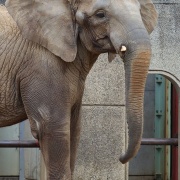 激怒プンプン丸な姉妹