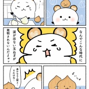 玉ねぎのひみつ