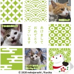 AD・CHIAKI Illust File