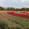 はじめまして☀️