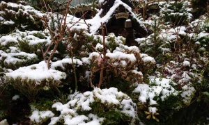 マビでは降らなかった雪、現実では少し積もる