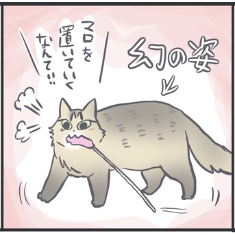 マロちゃんの幻の姿が見たい
