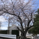 2026年3月:月間blogアクセス数