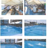 『第79回沼津市スポーツ祭（水泳）』の画像