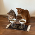 横取りひめちゃん