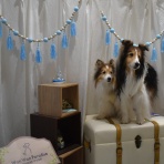 メロディ＆ミニーの写真館