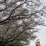 ホームステーションらいふ与野本町のブログ