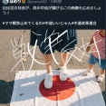 【削除逃亡済み 】中革連支持者、日の丸を踏みつける画像拡散「自民支持者が、高市早苗が嫌がるこの画像を広めましょう」