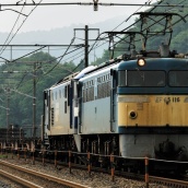 週末の 8865レは EF65-116 原色機