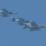 『何これ？』の画像