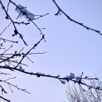 空もよう、心もよう ～ sora koko.