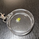 ポッちゃんのぽっち