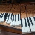 修理過程💥《横浜市栄区　坂本周子ピアノ教室》