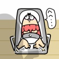 今日もあかちゃん
