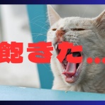 ドラクエ10盲目信者の秘密基地