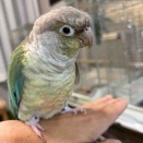 あれから
