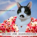 ペットセレモニーベル天国の天使達