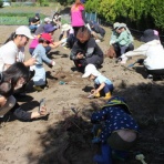 認定こども園 伊敷幼稚園「楽しさと感動の出会い」