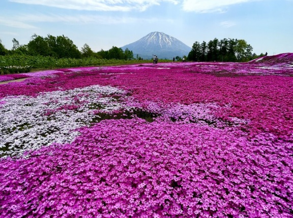 北の大地を旅行中