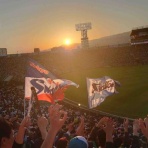 全国ツバメ軍団日誌！