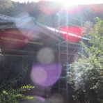 有機無農薬栽培茶　国友農園