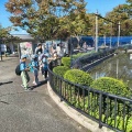 動物園探検！