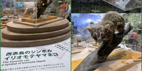 草木蟲魚世界 鄧雲郷著 商務印書館 飛ば