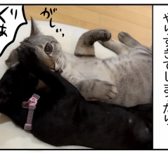 猫の名はポル㉓−2