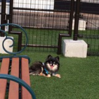 神無月ひろの徒然騒乱日記