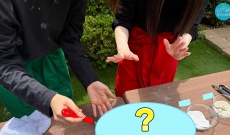 【日向坂46】櫻坂チャンネル×日向坂ちゃんねる コラボであの名コンビが帰ってくる…その正体とは？！