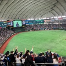 20年目のWBC(9)国際大会になった。