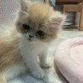 仲良しコンビ