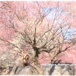 ☆みゅうと一緒☆