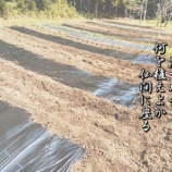 『晴耕雨読「畑の準備」』の画像