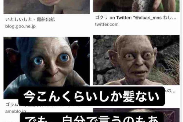 再生不良性貧血の記録