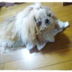 いつまでも一緒だよ♪