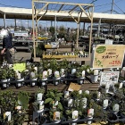 新生活レシピ！包丁いらずで超簡単！春キャベツと豚肉の塩昆布蒸し＆感動のイエルバブエナ