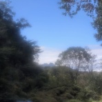 Ancient Botanical Garden