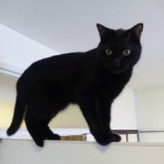 ケツデカ星人☆ニット 編み物