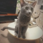 静かに存在してるところが似てるんだよ