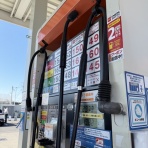 暇人、時々ひるがの高原へ行く！