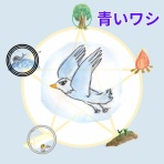            COCOemiブログ