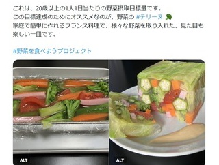 農水省「これなら簡単に野菜３５０グラム食えるぞ（ドンッ」（※画像あり）