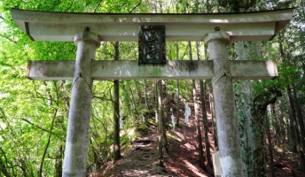 神道の起源って明らかに渡来人だよね