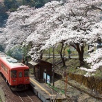 関西発 鉄道ファンの写真館　撮影地ガイド